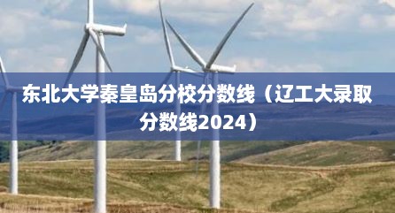 东北大学秦皇岛分校分数线（辽工大录取分数线2024）