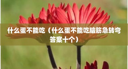 什么蛋不能吃（什么蛋不能吃脑筋急转弯答案十个）