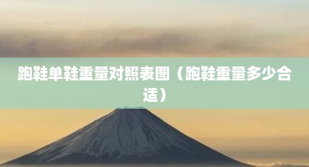 跑鞋单鞋重量对照表图（跑鞋重量多少合适）