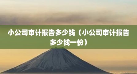 小公司审计报告多少钱（小公司审计报告多少钱一份）