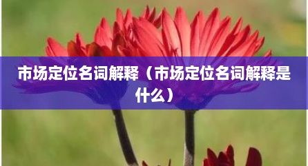 市场定位名词解释（市场定位名词解释是什么）