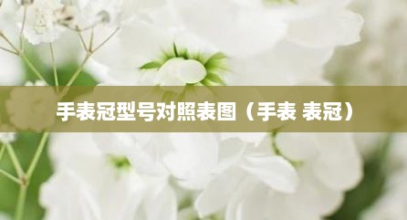 手表冠型号对照表图（手表 表冠）
