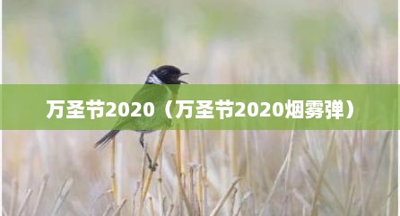 万圣节2020（万圣节2020烟雾弹）