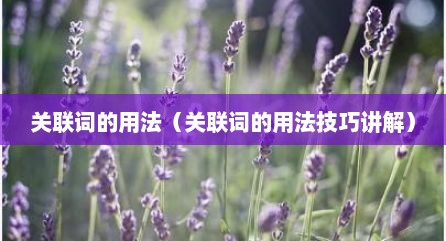 关联词的用法（关联词的用法技巧说解）