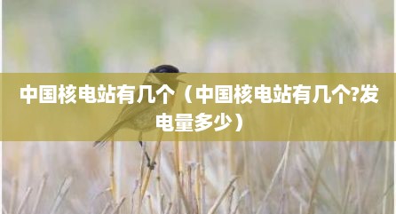 中国核电站有几个（中国核电站有几个?发电量多少）