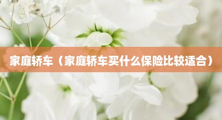 家庭轿车（家庭轿车买什么保险比较适合）