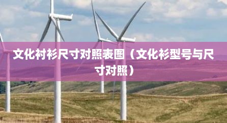 文化衬衫尺寸对照表图（文化衫型号与尺寸对照）