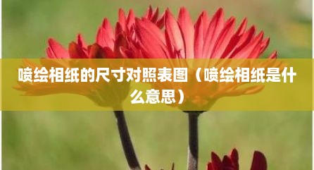 喷绘相纸的尺寸对照表图（喷绘相纸是什么意思）