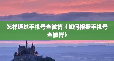 怎样通过手机号查微博（如何根据手机号查微博）