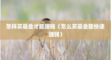 怎样买基金才能赚钱（怎么买基金能快速赚钱）