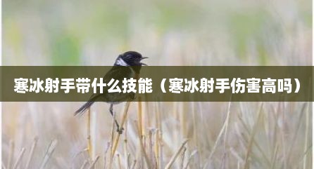 寒冰射手带什么技能（寒冰射手伤害高吗）