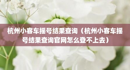 杭州小客车摇号结果查询（杭州小客车摇号结果查询官网怎么登不上去）