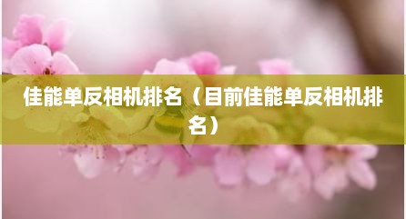 佳能单反相机排名（目前佳能单反相机排名）