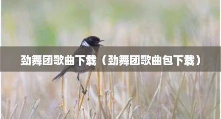 劲舞团歌曲下载（劲舞团歌曲包下载）