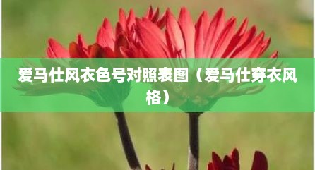 爱马仕风衣色号对照表图（爱马仕穿衣风格）