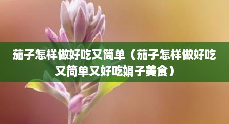茄子怎样做好吃又简单（茄子怎样做好吃又简单又好吃娟子美食）