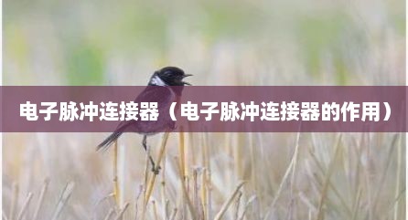 电子脉冲连接器（电子脉冲连接器的作用）