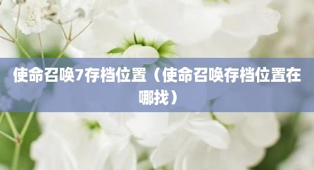 使命召唤7存档位置（使命召唤存档位置在哪找）