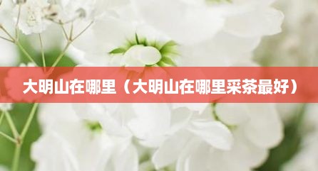 大明山在哪里（大明山在哪里采茶最好）