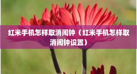 红米手机怎样取消闹钟（红米手机怎样取消闹钟设置）