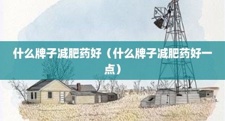 什么牌子减肥药好（什么牌子减肥药好一点）