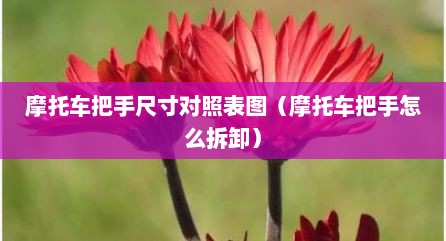 摩托车把手尺寸对照表图（摩托车把手怎么拆卸）