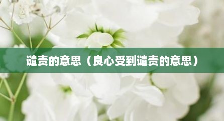 谴责的意思（良心受到谴责的意思）