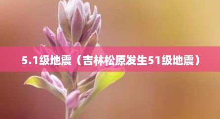 5.1级地震（吉林松原发生51级地震）