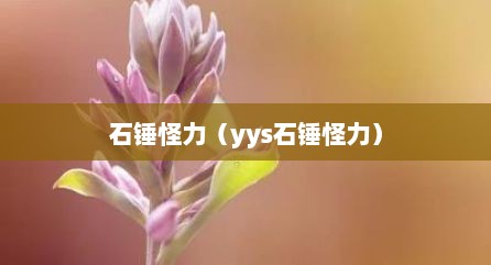 石锤怪力（yys石锤怪力）