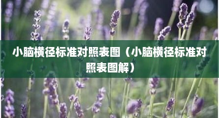 小脑横径标准对照表图（小脑横径标准对照表图解）