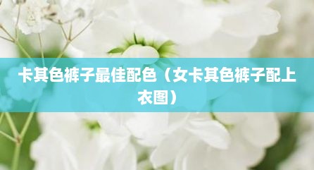 卡其色裤子最佳配色（女卡其色裤子配上衣图）