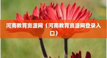 河南教育资源网（河南教育资源网登录入口）