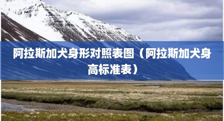 阿拉斯加犬身形对照表图（阿拉斯加犬身高标准表）