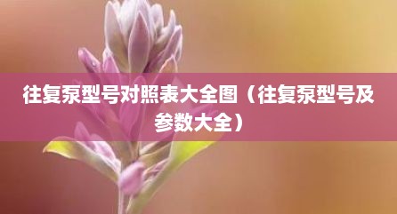 往复泵型号对照表大全图（往复泵型号及参数大全）