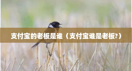 支付宝的老板是谁（支付宝谁是老板?）