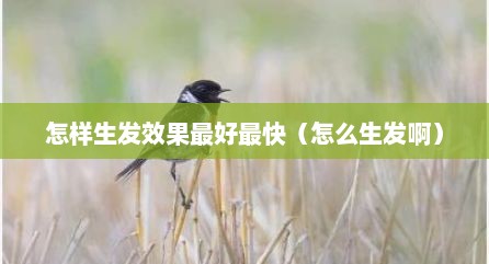 怎样生发效果最好最快（怎么生发啊）
