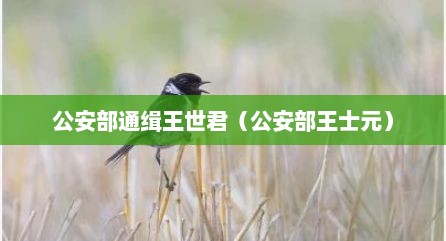 公安部通缉王世君（公安部王士元）