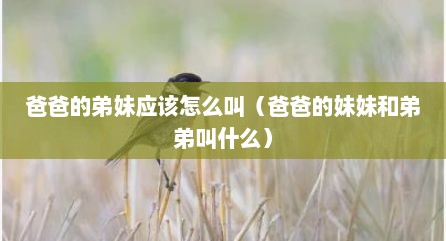 爸爸的弟妹应该怎么叫（爸爸的妹妹和弟弟叫什么）