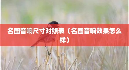名图音响尺寸对照表（名图音响效果怎么样）