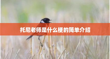 托尼老师是什么梗的简单介绍