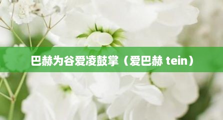 巴赫为谷爱凌鼓掌（爱巴赫 tein）