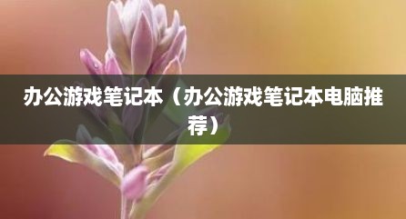 办公游戏笔记本（办公游戏笔记本电脑推荐）