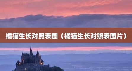 橘猫生长对照表图（橘猫生长对照表图片）