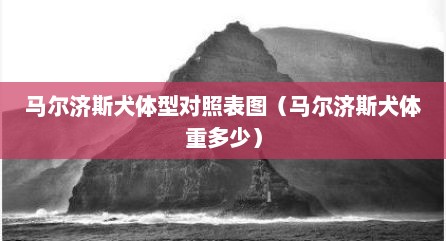 马尔济斯犬体型对照表图（马尔济斯犬体重多少）
