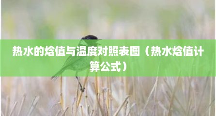 热水的焓值与温度对照表图（热水焓值计算公式）