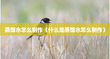 蒸馏水怎么制作（什么是蒸馏水怎么制作）