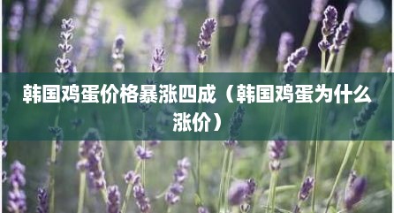 韩国鸡蛋价格暴涨四成（韩国鸡蛋为什么涨价）