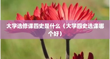 大学选修课四史是什么（大学四史选课哪个好）
