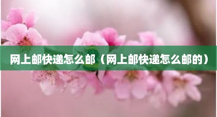 网上邮快递怎么邮（网上邮快递怎么邮的）