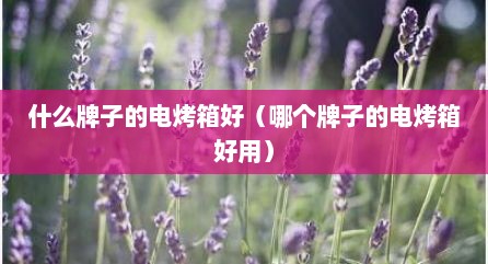 什么牌子的电烤箱好（哪个牌子的电烤箱好用）